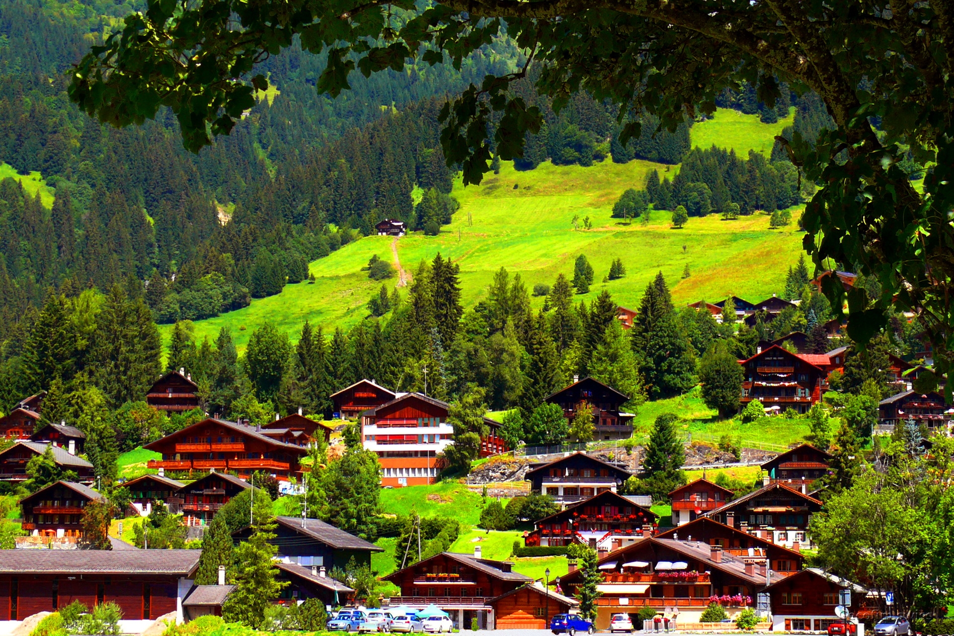 Conseil et représentation en Suisse dans les procédures administratives, techniques et de notaire pour l’achat ou la vente de l’immobilier suisse